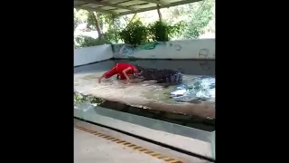 Man puts his head in a crocs mouth ends up getting bitten