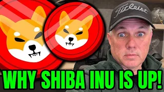 WHY SHIBA INU IS ROCKETING UP! FIND OUT NOW!