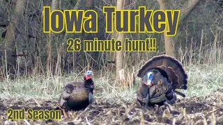 Incredible Iowa Turkey Hunting! Opening Day of 2nd Season// 26-minute harvest!!