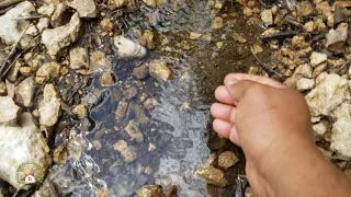 COMO SEMBRAR AGUA PARA QUE NAZCA UN RIACHUELO EN NUESTRAS TIERRAS.