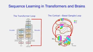 CARTA: Computational Neuroscience and Anthropogeny with Terry Sejnowski