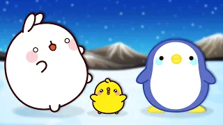 Cute Penguins Playing With Molang And Piu Piu |  Molang Season 1 | Cartoons For Kids