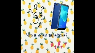 Что в моем телефоне? Секрет открыт! 🐱