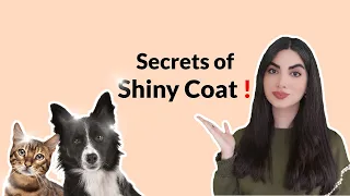 6 Ways to Keep Your Dog’s & Cat’s Coat Shiny and Healthy!