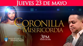 Coronilla de la Divina Misericordia de hoy jueves 23 de mayo y Hora Santa. P. Hugo Armando Gálvez.