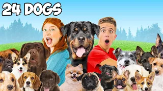 I Surprise 24 DOGS in 24 Hours! *Adorable😍*