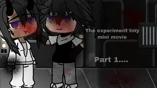 The experiment…//glmm// part 1