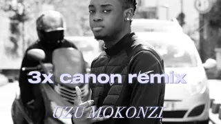 Uzu mokonzi - Animation #2 (3x canon remix) (Audio)