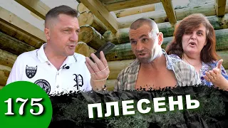 Дом за миллион / Плесень сожрала каркас / Нам не рады