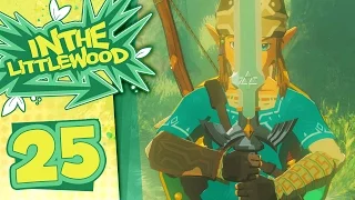 The Legend Of Zelda: Breath Of The Wild - Part 25 - Master Sword