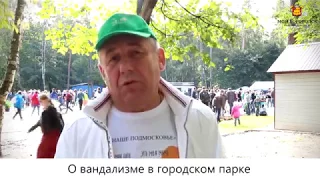 Владимир Хватов о реконструкции городского парка