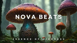 Nova Beats-Essence of Minds #22 [Melodic Techno/House & Progressive House DJ Mix]