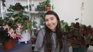 Houseplants Blooming Indoors During WINTER!!!