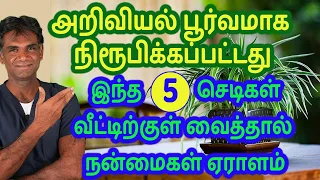 Research Based 5 Indoor Plants For A Healthy Life | Easy To Grow House Plants - Dr.P.Sivakumar-Tamil