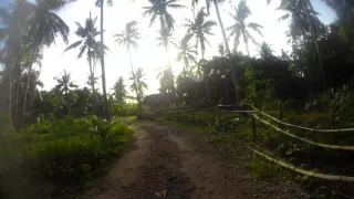 20150716 Walking to Bohol Coco Farm