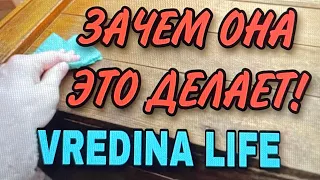 ЗАЧЕМ ОНА ЭТО ДЕЛАЕТ. VREDINA LIFE.