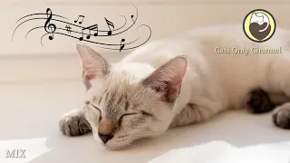 Cat Relaxation Music - Cat Purring Sounds & Relaxing Harp Music (MIX)