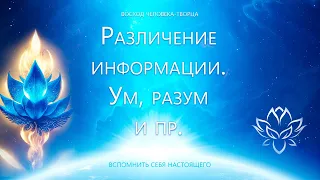 Различение информации. Ум, Разум и др.