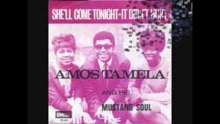 Amos Tamela & his Mustang Soul - She'll come tonight