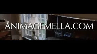 Animagemella.com - Film completo 2016