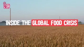 Will there be a global food shortage?