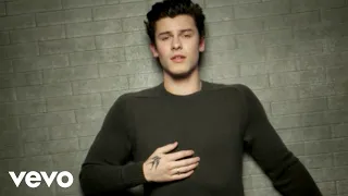 Shawn Mendes - In My Blood (Official Music Video)