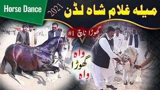 #horsedance Best Horses Dance in1 day Mela Ghulam Shah luddan (vehari)Pakistan Best Selected Horses