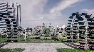 Цветущий город Грозный! Чечня /Blooming city of Grozny!