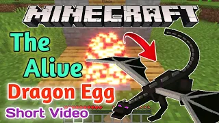 The Alive Dragon Egg🥚| Minecraft Alive Dragon😱 #Shorts Video | Minecraft Video By @gamexguru_