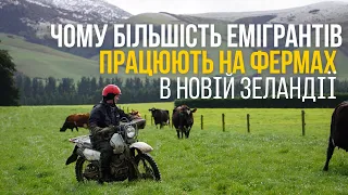 Чому більшість ЕМІГРАНТІВ працюють на фермах в НОВІЙ ЗЕЛАНДІЇ.