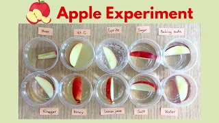Oxidation | Why Apples Turn Brown - Science Experiment | Best Way to Keep Apples from Browning |