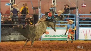 DELICADO (Cia. Tercio Miranda) - Melhor Touro do GIGANTE VERMELHO de Cândido Mota