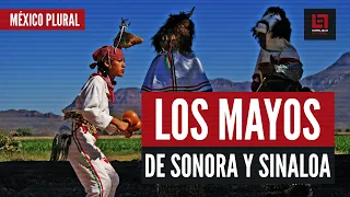 DOCUMENTAL: México plural. Los mayos de Sonora y Sinaloa.