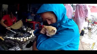 VLOG 8 - ESTAFAS para TURISTAS en SAPA (VIETNAM)