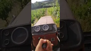 trinciatura del vigneto a filari con trincia e fiat 60 cv cingolato (mi sono scordaro😁)