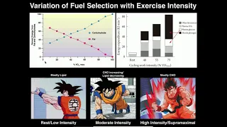 Exercise Physiology | Variation of Fuel Source with Exercise Intensity