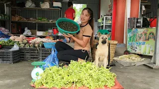 Harvest papaya flowers and snails and bring them to the market to sell _cooking | Chuc  Thi Duong