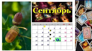 💫  КАРТА ДНЯ 🌞 ГОРОСКОП НА 25 СЕНТЯБРЯ для всех знаков Зодиака  💫  АСТРО - ТАРО И ЛЕНОРМАН ПРОГНОЗ