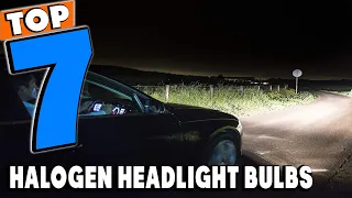 Top 7 Best Halogen Headlight Bulbs Review in 2023