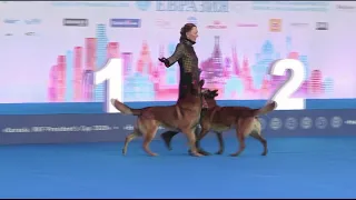 «Мать драконов 💃🐕🐕💞💞💞»  Ильина Полина и Малинуа Сабур и Илим. Танцы с собаками.