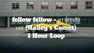 fellow fellow - ดาวหางฮัลเลย์ (Halley's Comet) - 1 Hour Loop