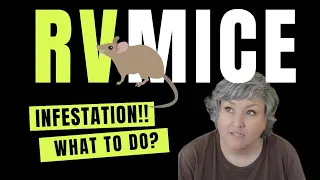 I Have an RV Mouse INFESTATION!! Ugh. I'll tell you how to get rid of RV Mice in this video