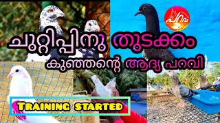 വീണ്ടും ഒരു ചുറ്റിപ്പ് ആദ്യ പറവി തകർത്തു.. #kerala #video #pigeons #ponnaniparava #ponnani #youtube