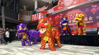GLOBALink | Chinese New Year festivities enchant Kenyans amid blossoming cultural ties