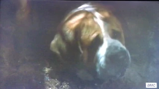 Cujo- Batcave scene