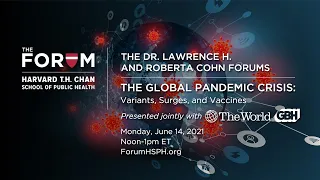 The Global Pandemic Crisis: Variants, Surges, and Vaccines