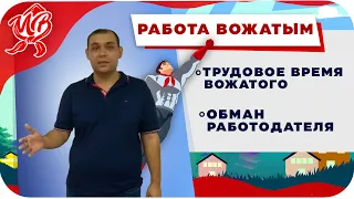 Как стать вожатым | Советы юриста