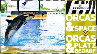 Do ORCAS at LORO PARQUE have to little space? | zoos.media