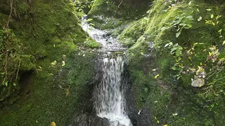 4K Drone Video - Secret Stream in Slow Motion in New Zealand