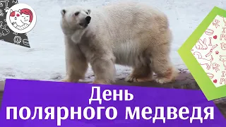 Международный день белого медведя на ilikepet